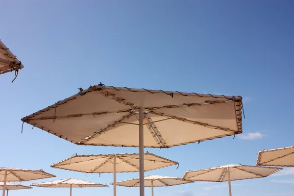 Close up van de binnenkant van een parasols — Stockfoto