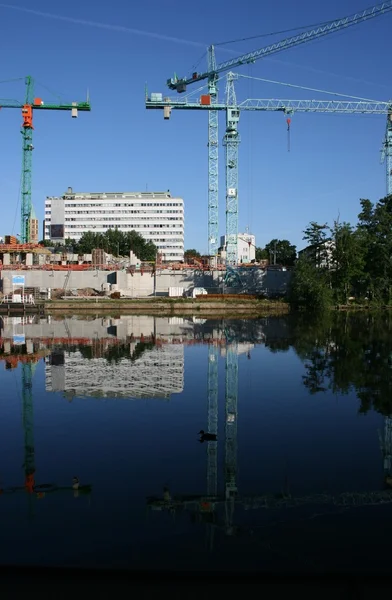 Grúas con reflejo de agua — Foto de Stock