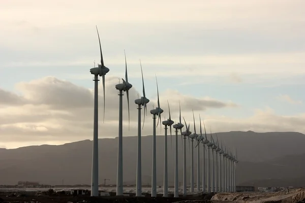 Wind turbines farm — Stock Photo, Image