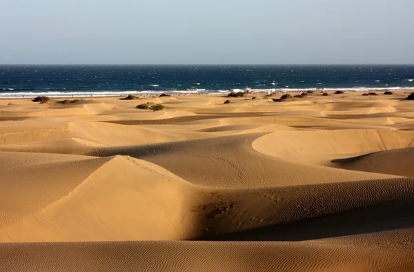 Sand dunes — Stock Photo, Image