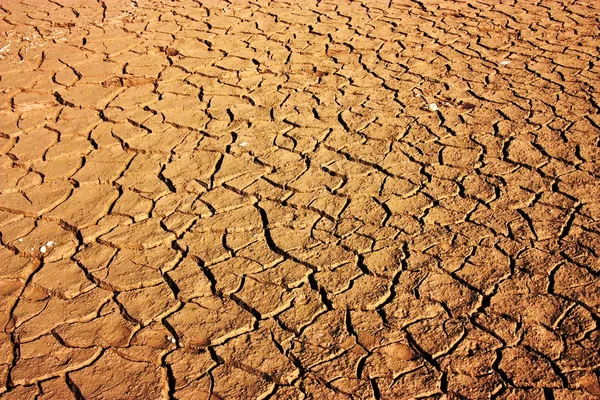 Parched Earth — Stock Photo, Image