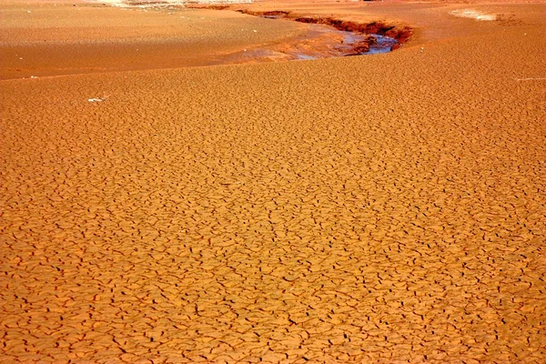 Parched Earth — Stock Photo, Image