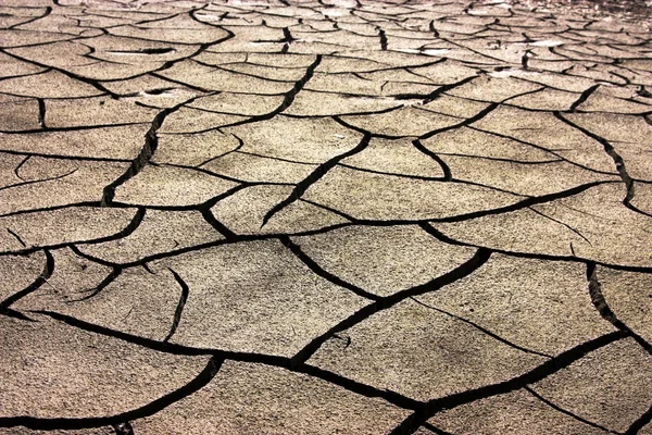 Uitgedroogde aarde — Stockfoto