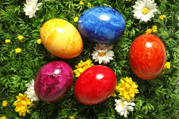 Colorful Easter eggs on green grass scenery — Stock Photo, Image