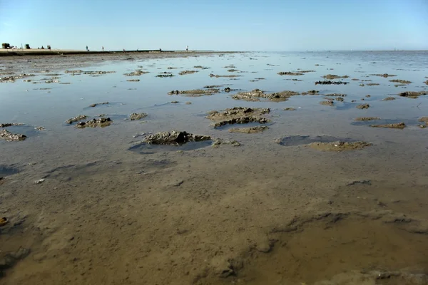 Mud lake — Stock Photo, Image