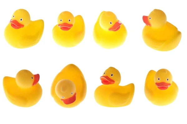 Rubber yellow duck isolated on white — Stock Photo, Image