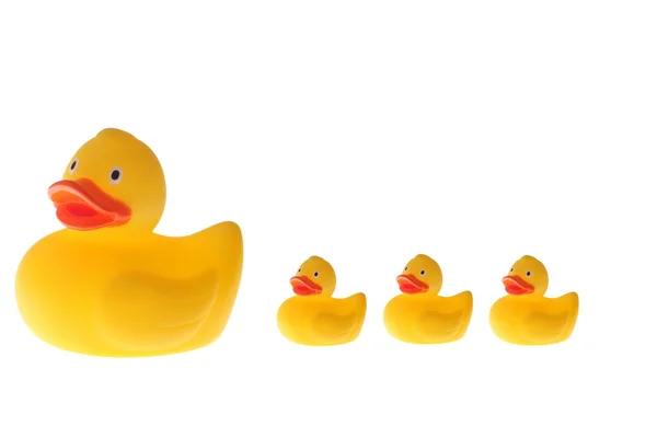 Yellow toy ducklings om a row on white background — Stock Photo, Image