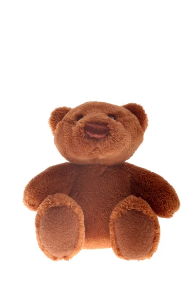 Teddy bear toy on white background — Stock Photo, Image