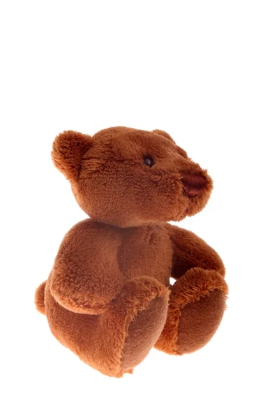 Teddy bear toy on white background — Stock Photo, Image