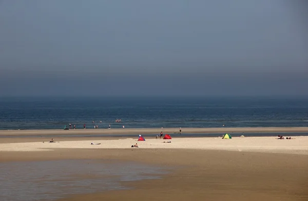 Spiaggia di sabbia — Foto Stock