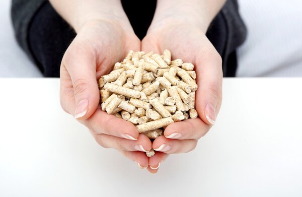 Wood pellets in hands