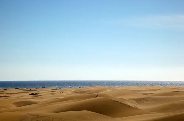 Dunas — Fotografia de Stock