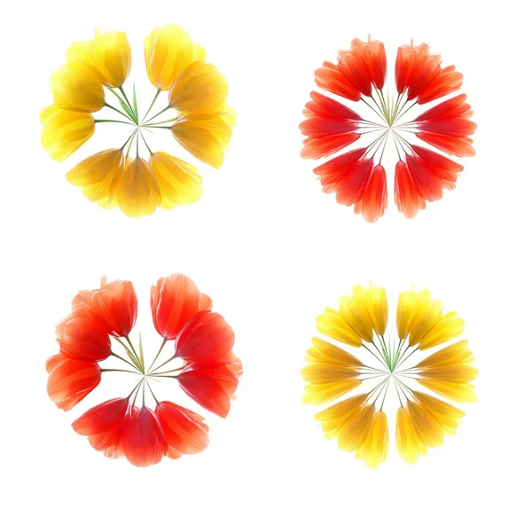Tulipán virágok — Stock Fotó