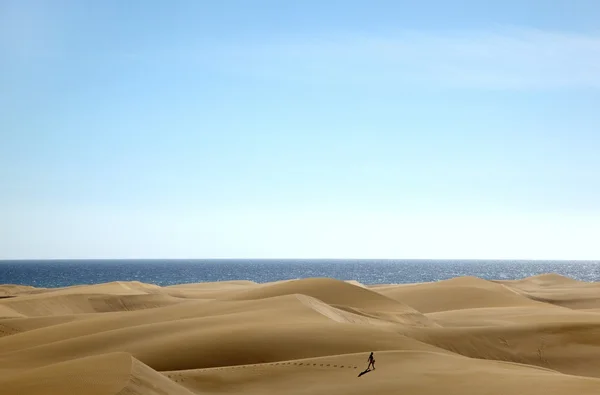 Dunas lizenzfreie Stockbilder