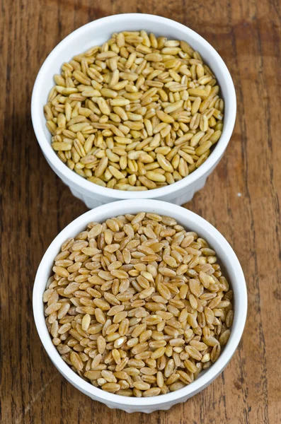Kamut et blé — Photo