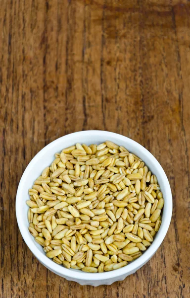 Kamut (variedad de trigo) en el tazón blanco Fotos de stock libres de derechos