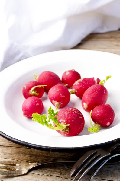 Old Radishes — Stock Photo, Image