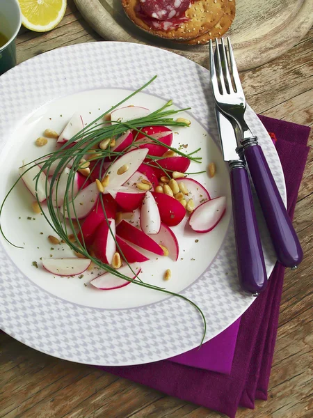 Frühlingsrettichsalat — Stockfoto