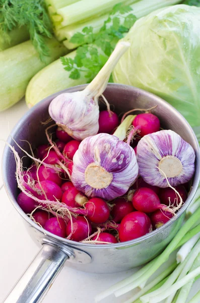 Spring vegetables and herbs — Stock Photo, Image