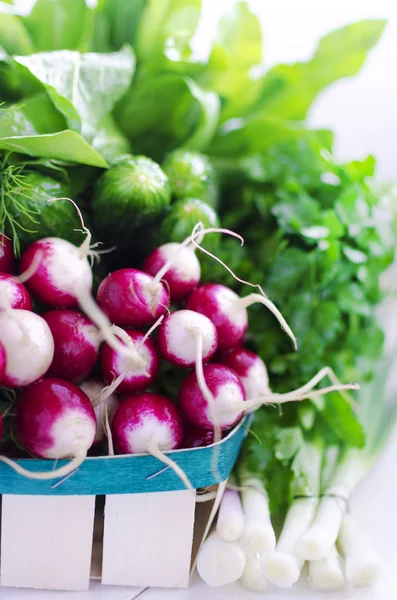 Légumes et herbes frais — Photo