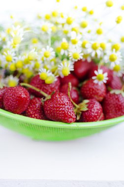 çilek ve chamomiles