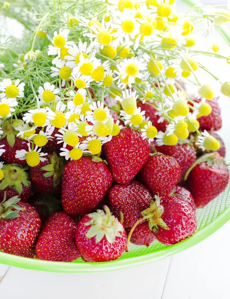 Erdbeeren und Kamillen — Stockfoto