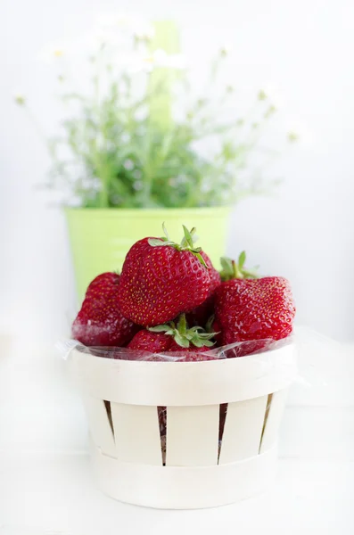 Strawberries in round basket and chamomile — Stock Photo, Image