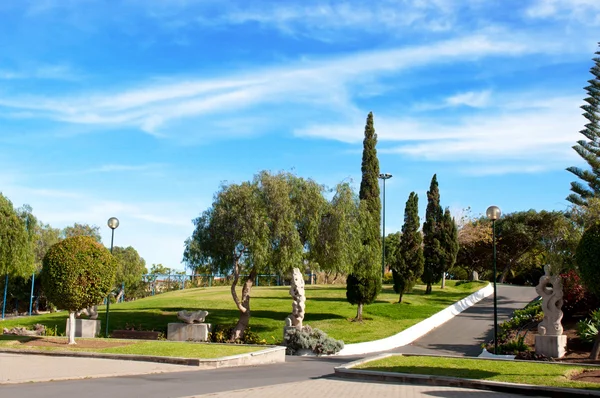 Parque verde — Fotografia de Stock