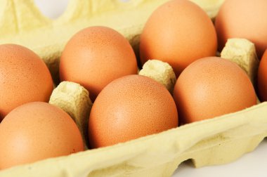 yumurta kutusu