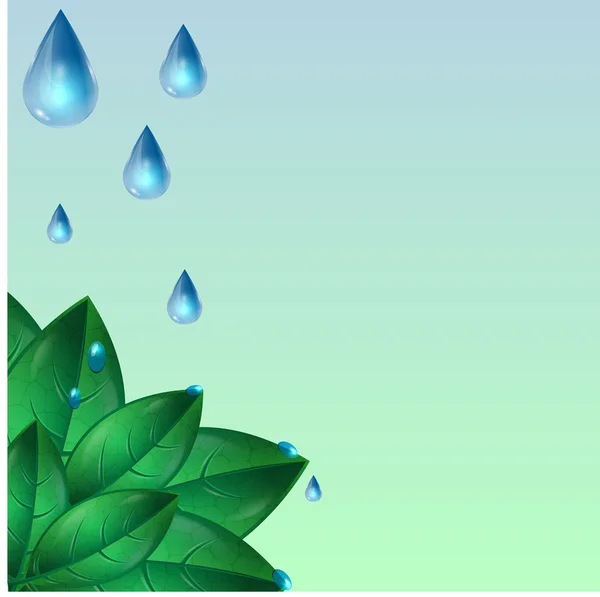 Gotas de agua que descienden de hojas verdes — Vector de stock