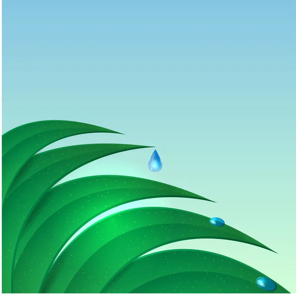 Kapky vody proudící z zelené listy — Stockový vektor