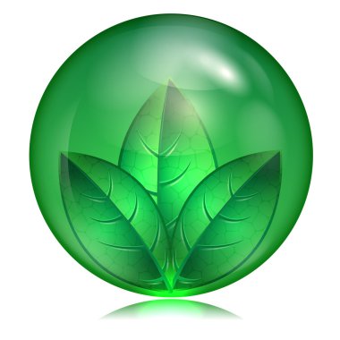 Green leaf in a green sphere on a white background