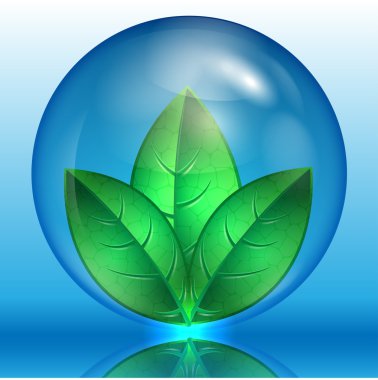 Green leaves in a blue sphere on a blue background