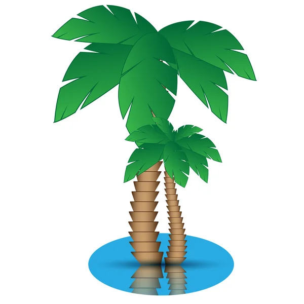 Deux palmiers et de l'eau sur un fond blanc — Image vectorielle