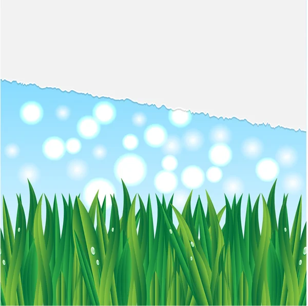 Ilustración de la hierba sobre un fondo azul cielo — Vector de stock