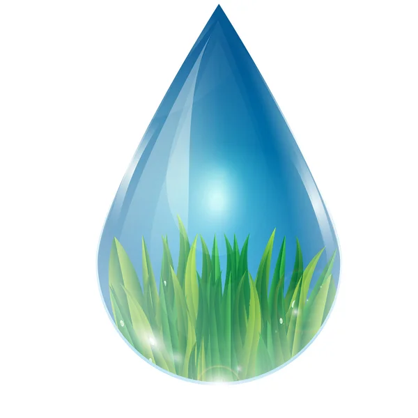 Green grass in a drop of water — Stock Vector