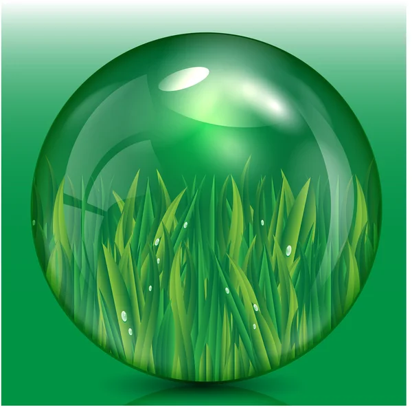 Grass with dew drops in a bowl of green — Stock Vector