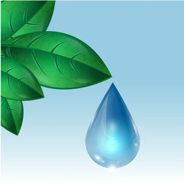 Gota de agua que desciende de las hojas verdes — Vector de stock