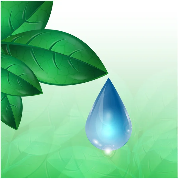 Drop of water flowing down from green leaves — Stock Vector