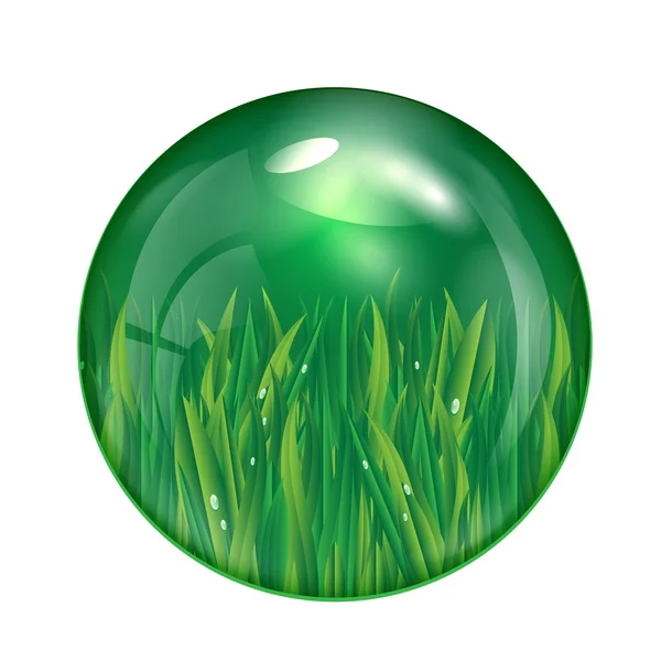 Glass ball with green grass isolated on white background.eco ico — Stock Vector