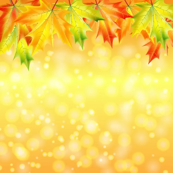 Autumn maple leaves on a yellow sparkling background.autumn back — Stock Vector