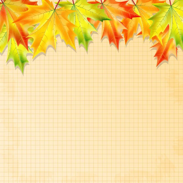 Background with autumn leaves and sheet of paper into a cell.aut — Stock Vector