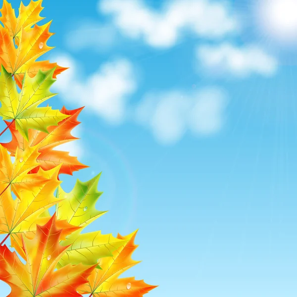 Otoño background.autumn hojas de arce contra el cielo azul y c — Vector de stock