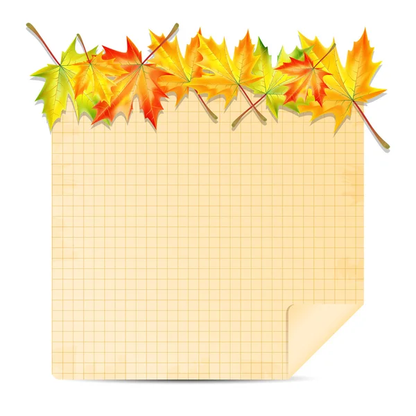 Fondo con hojas de otoño y hoja de papel en una celda.aut — Vector de stock