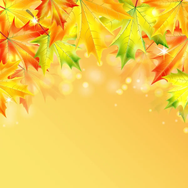 Hojas de arce de otoño sobre un fondo brillante amarillo. — Vector de stock