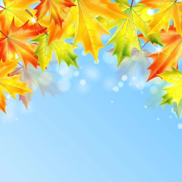 Autumn maple leaves on a blue sparkling background.autumn backgr — Stockvector