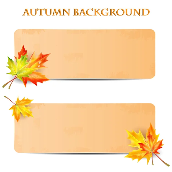 Background with autumn leaves and sheet of paper into a cell.au — Stock Vector