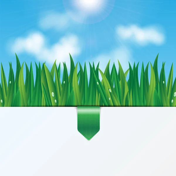 Natural background.eco background.green grass with dew drops on — Stock Vector