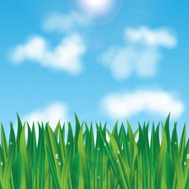 natural background.eco background.green grass with dew drops on clipart