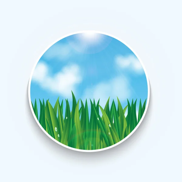 Doğal background.eco background.green çimen çiy ile üzerine düşer. — Stok Vektör